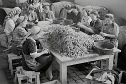 Employment in Austria