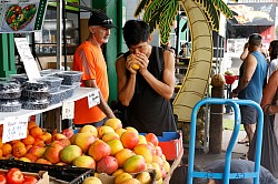 Employment in Barbados