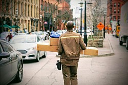 Employment in Canada