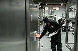 Employment in Chad
