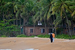 Employment in Comoros