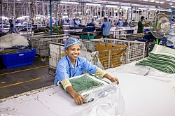Employment in Dominica