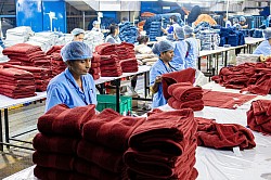 Employment in Equatorial Guinea