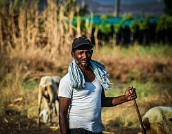 Employment in Ethiopia F