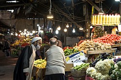Employment in Iran