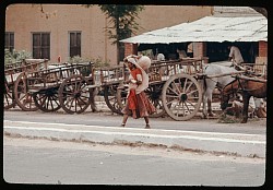 Employment in Madagascar