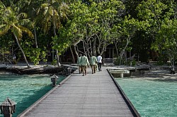 Employment in Maldives