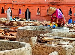 Employment in Morocco