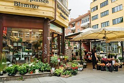 Employment in Norway