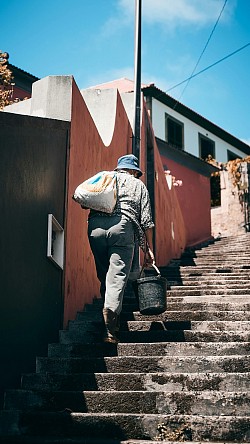 Employment in Portugal