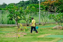 Employment Samoa