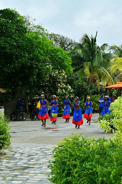 Employment in Solomon Islands, The
