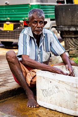 Employment in Sri Lanka