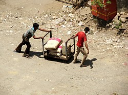 Employment in Syria