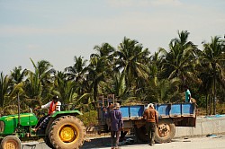Employment in Timor-Leste
