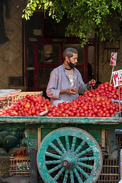 Employment in Tunisia