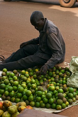 Employment in Uganda