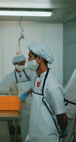 Employment in Yemen